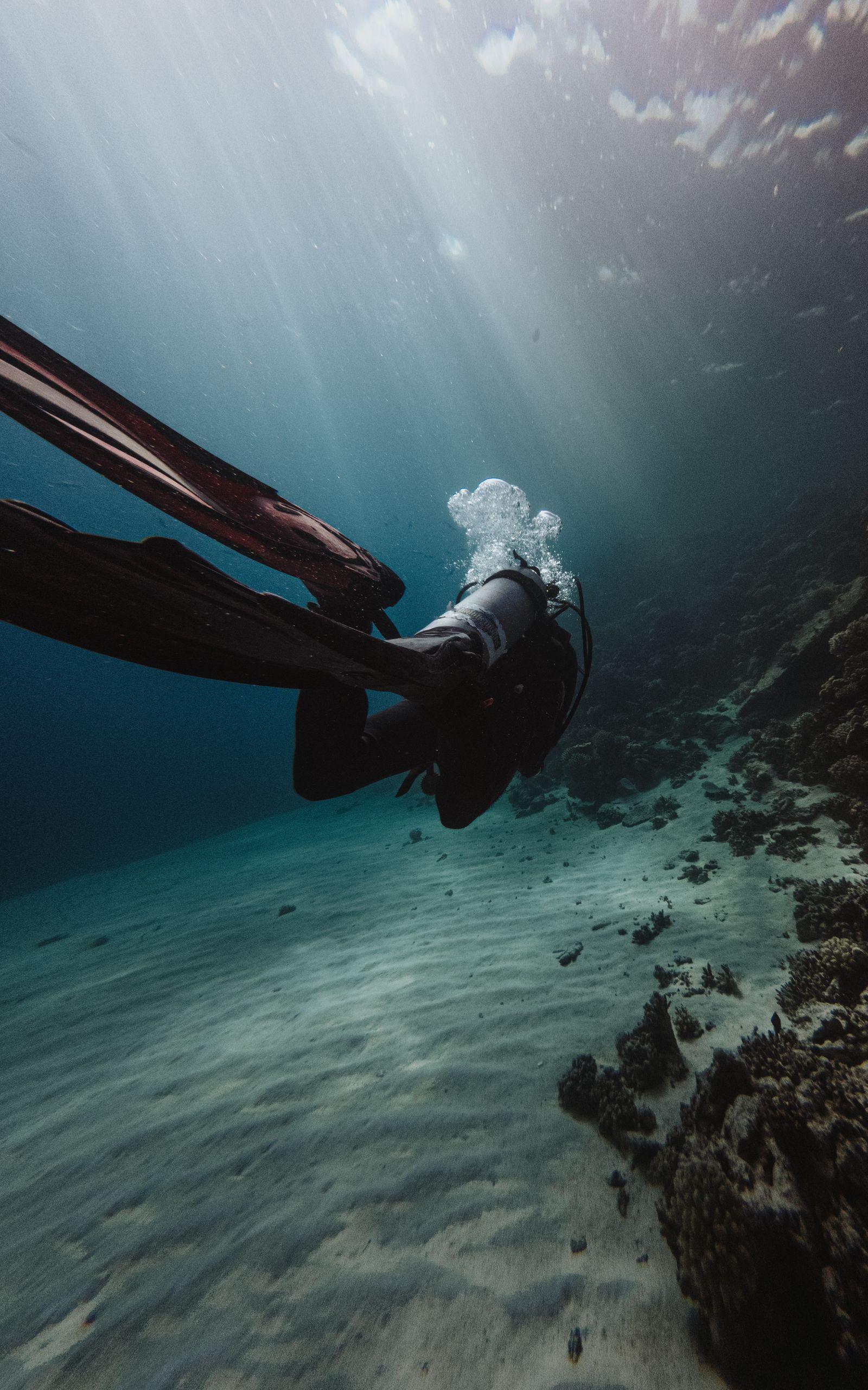 Scuba diver exploring a Red Sea coral reef