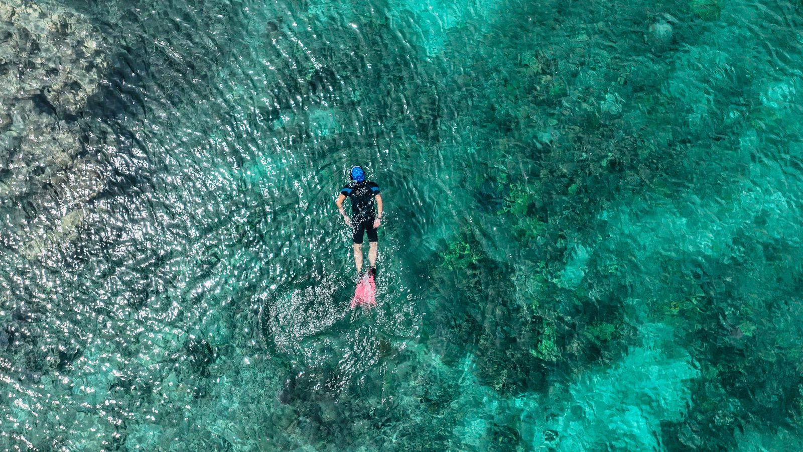 Snorkeler floating over clear turquoise reef water