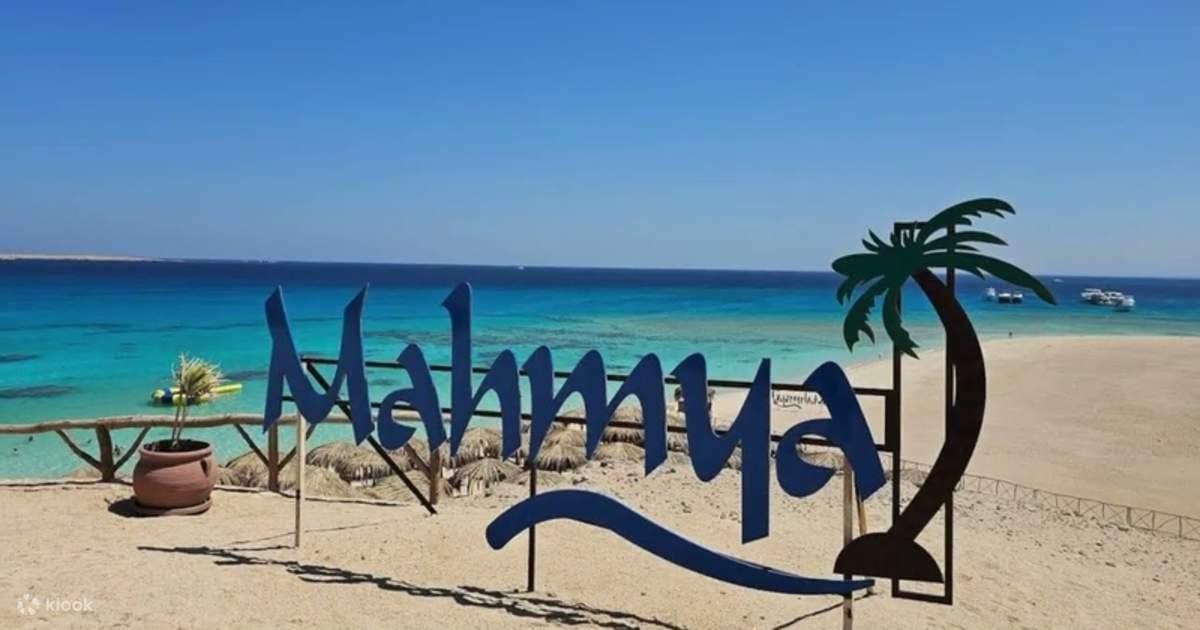 Mahmya sign and palm tree on the island beach