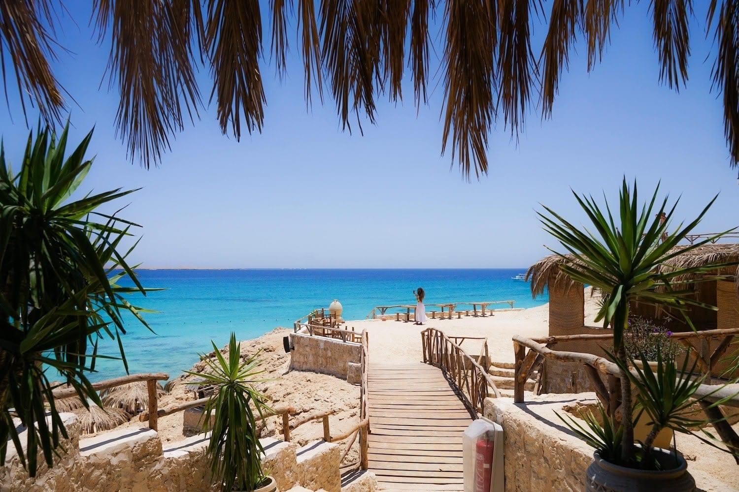 Palm trees and a wooden walkway leading to the beach on Mahmya Island